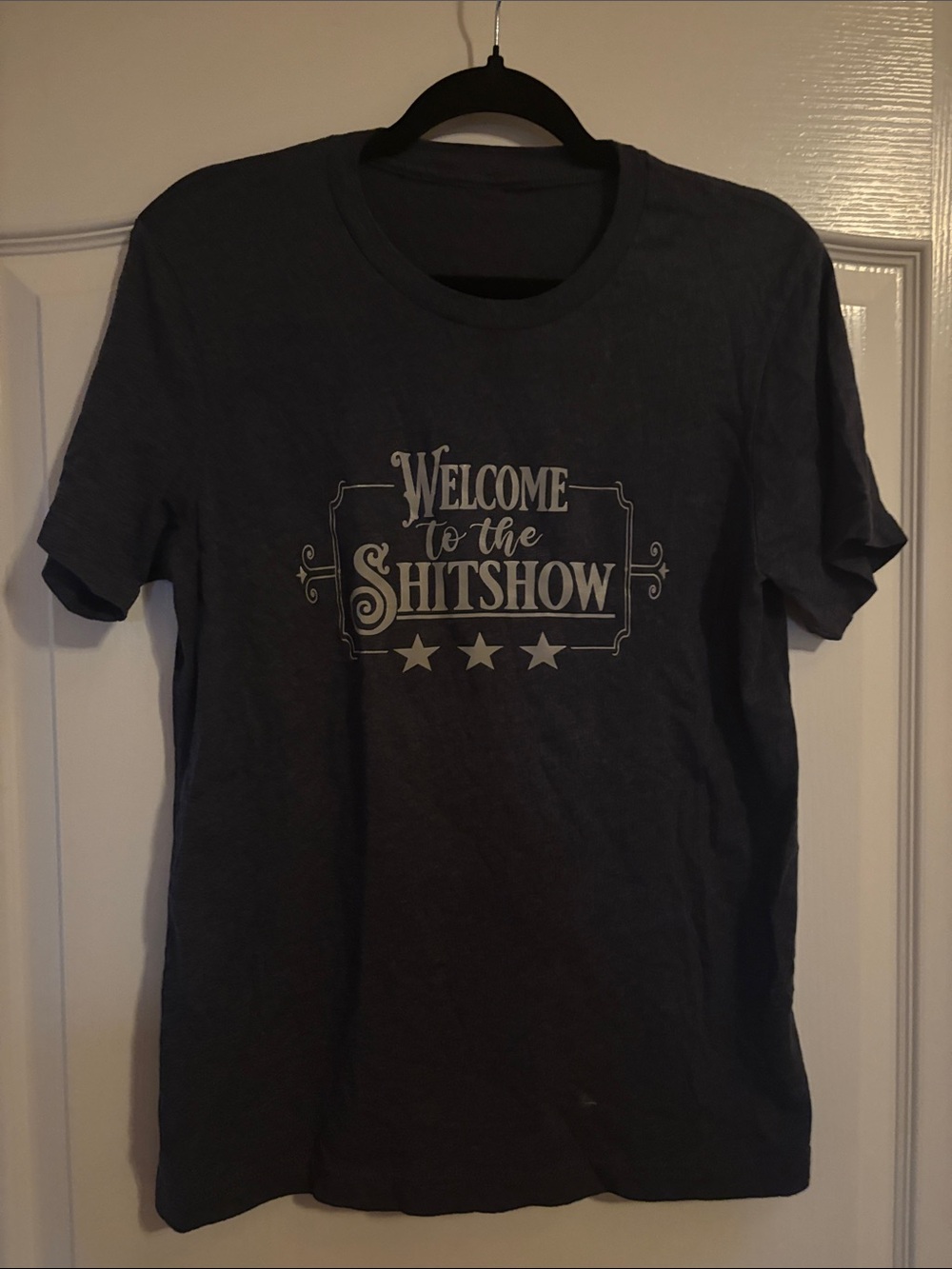 Kids Grey Graphic Tee - "Welcome to the Shitshow"